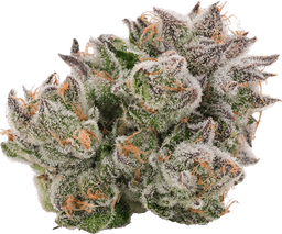 Appl Mac